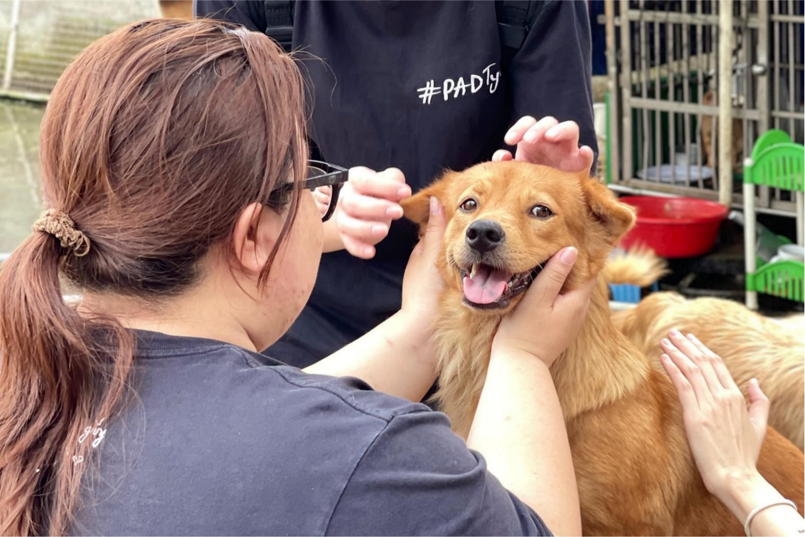 CATSKY ĐÓN NHẬN YÊU THƯƠNG TỪ FC DIỄN VIÊN PHƯƠNG ANH ĐÀO